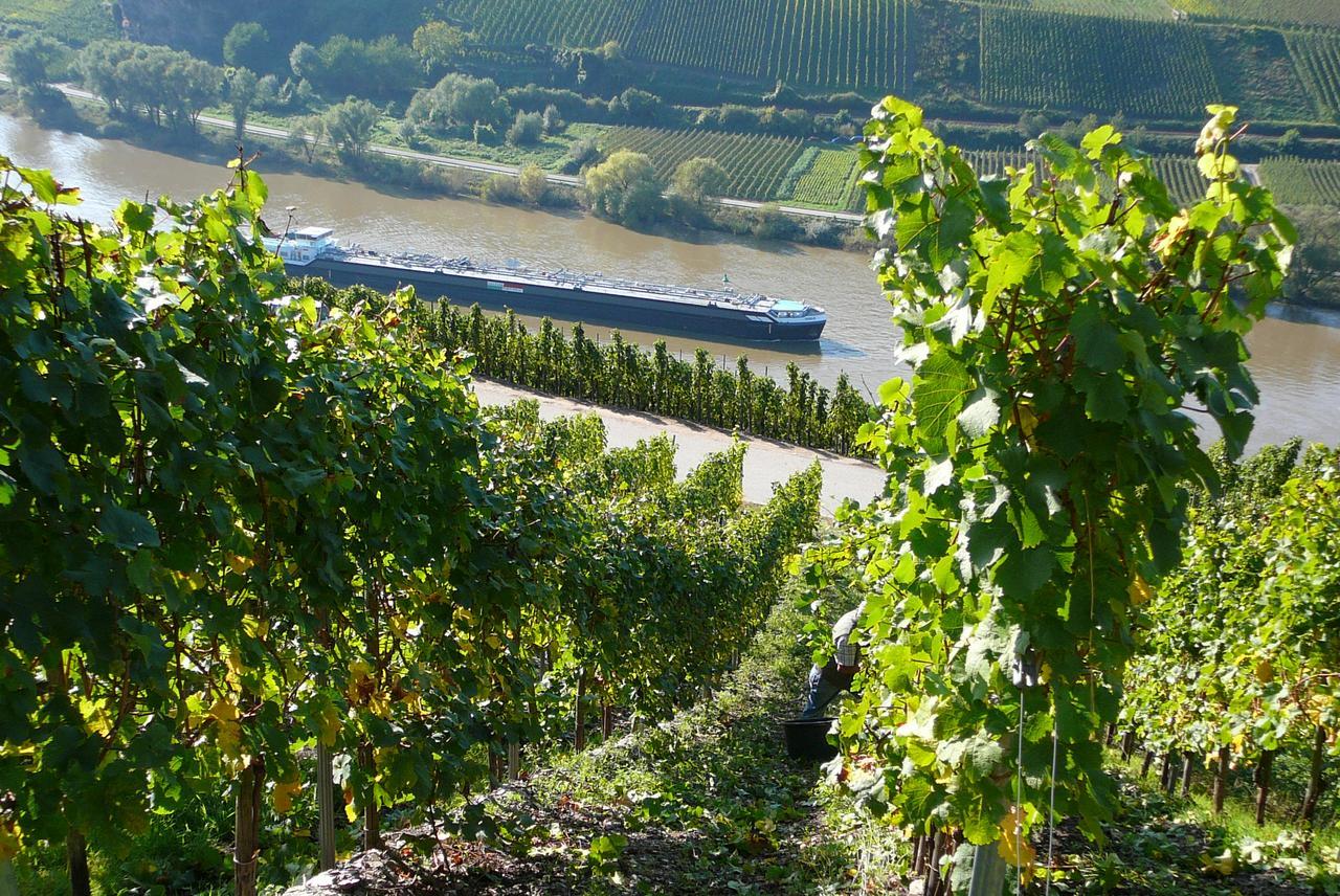Bed and Breakfast Ferienweingut Hirschen Schulstrasse Burg  Экстерьер фото